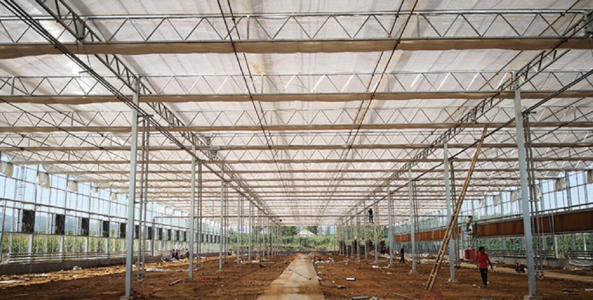 信橋鋼構(gòu)：打卡蒙陰農(nóng)業(yè)溫室大棚、青州黑牛養(yǎng)殖基地！(圖3)