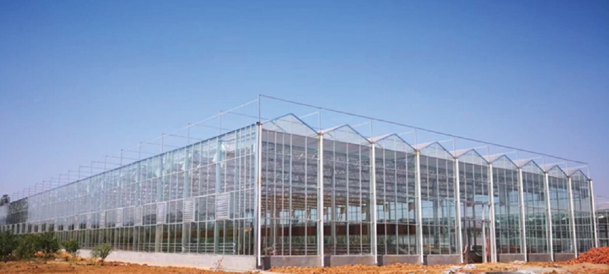 信橋鋼構(gòu)：打卡蒙陰農(nóng)業(yè)溫室大棚、青州黑牛養(yǎng)殖基地！(圖2)